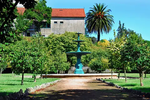 Jardim do Parque de São Roque com fonte azul, laranjeiras, palmeira e casa senhorial ao fundo