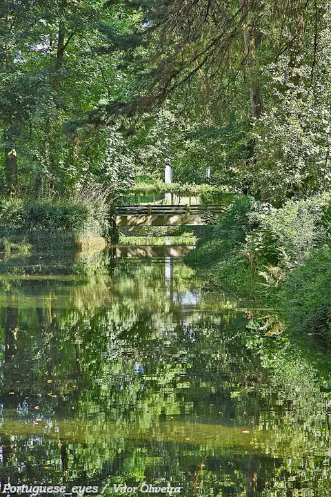 Lago rodeado de árvores com pequena ponte ao fundo no parque termal de Melgaço