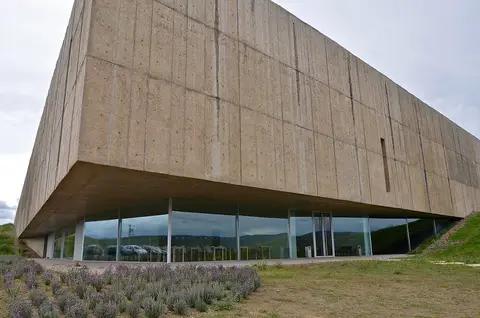 Edifício de betão do Museu do Côa, com fachada envidraçada no piso térreo e alfazemas em frente