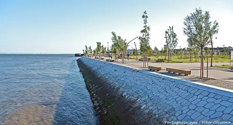 Passeio ribeirinho do Parque Ribeirinho Oriente junto ao rio Tejo, com árvores jovens e bancos de pedra