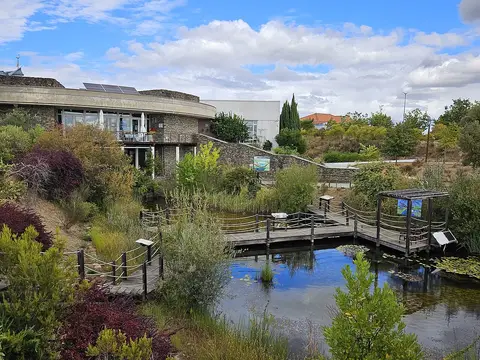 Edifício do Centro Ciência Viva da Floresta com lago e passadiços de madeira no exterior