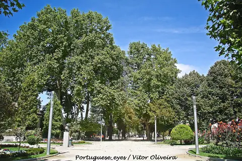 Alameda arborizada do Jardim Público de Chaves, com busto, canteiros de flores e céu azul.