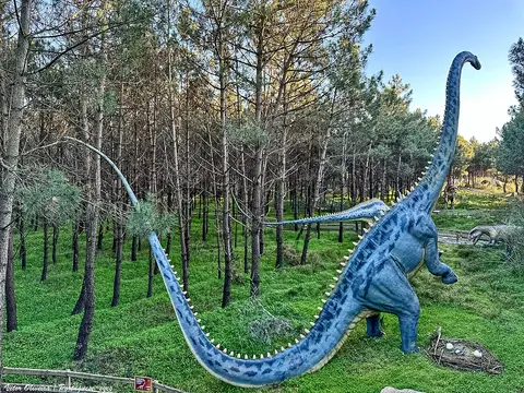 Réplica de diplodoco em tamanho real entre pinheiros no Dino Parque da Lourinhã