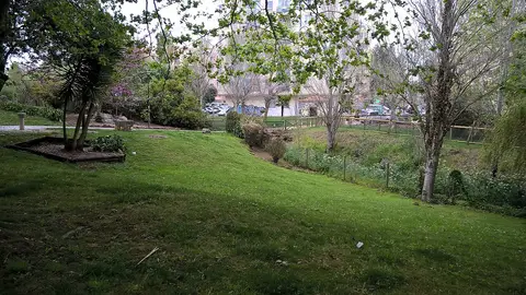 Relvado com árvores e vedação junto a um pequeno curso de água no Jardim da Anta