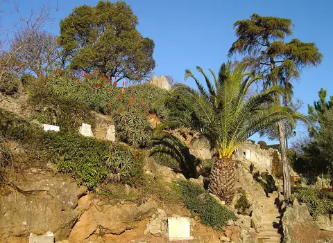 Encosta rochosa com palmeira, aloés floridos e escadaria no Penedo da Saudade, em Coimbra