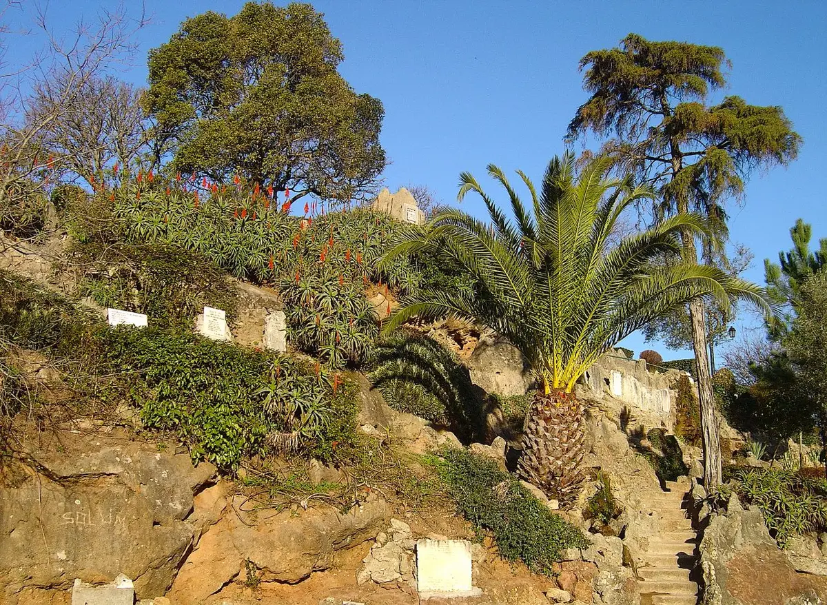 Encosta rochosa com palmeira, aloés floridos e escadaria no Penedo da Saudade, em Coimbra