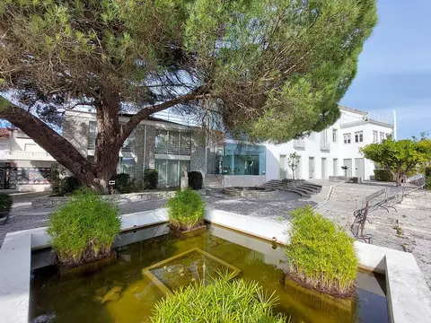 Fachada posterior e jardins da Casa-Museu João Soares, com tanque de água e pinheiro