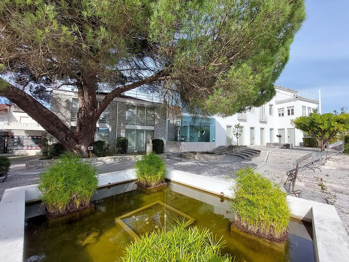 Fachada posterior e jardins da Casa-Museu João Soares, com tanque de água e pinheiro