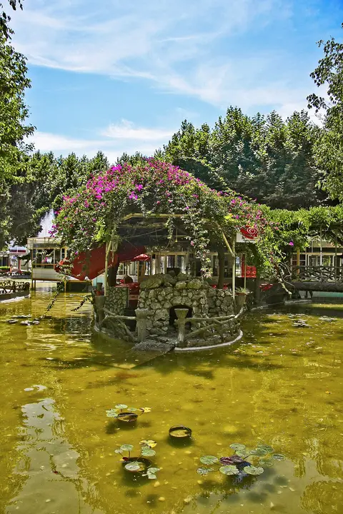 Lago com nenúfares e ilhota de pedra coberta de buganvílias cor-de-rosa num parque arborizado