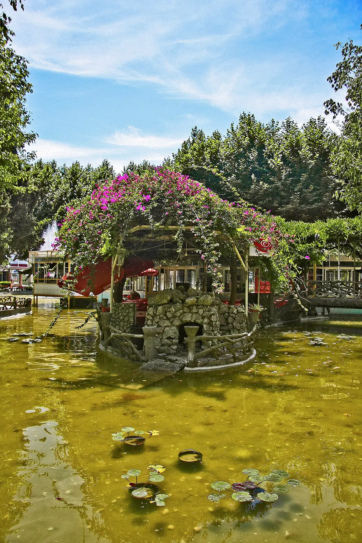 Lago com nenúfares e ilhota de pedra coberta de buganvílias cor-de-rosa num parque arborizado