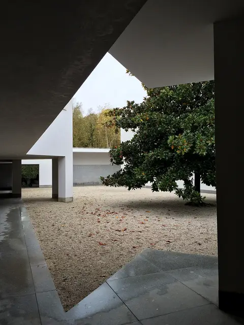 Pátio interior do Museu de Serralves, com paredes brancas, gravilha e uma magnólia.